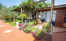 Frezia Complex - Frezia Apartments By Rentalspro Services Nea Potidaia Halkidiki